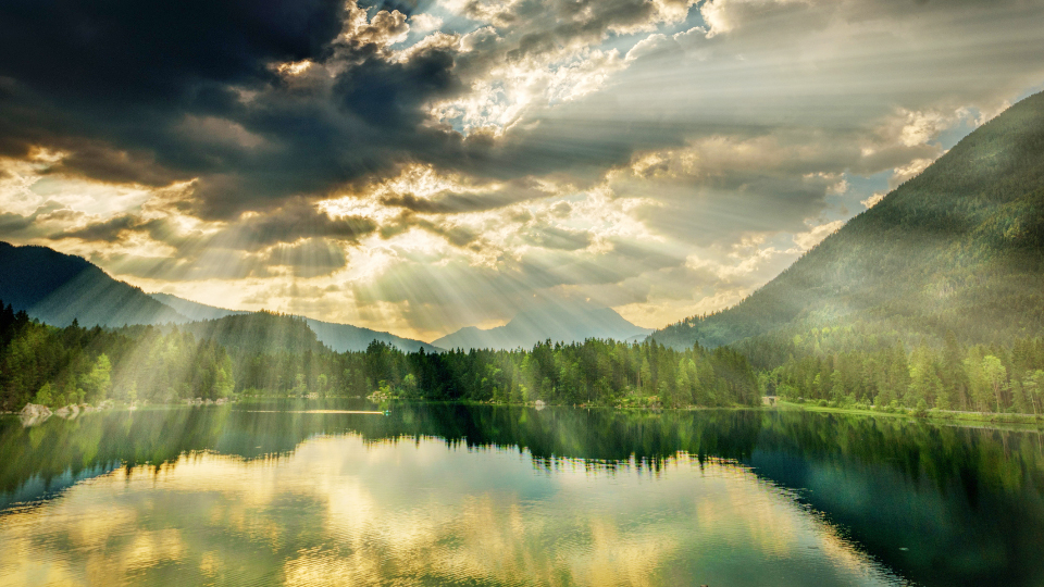 Probability & Design