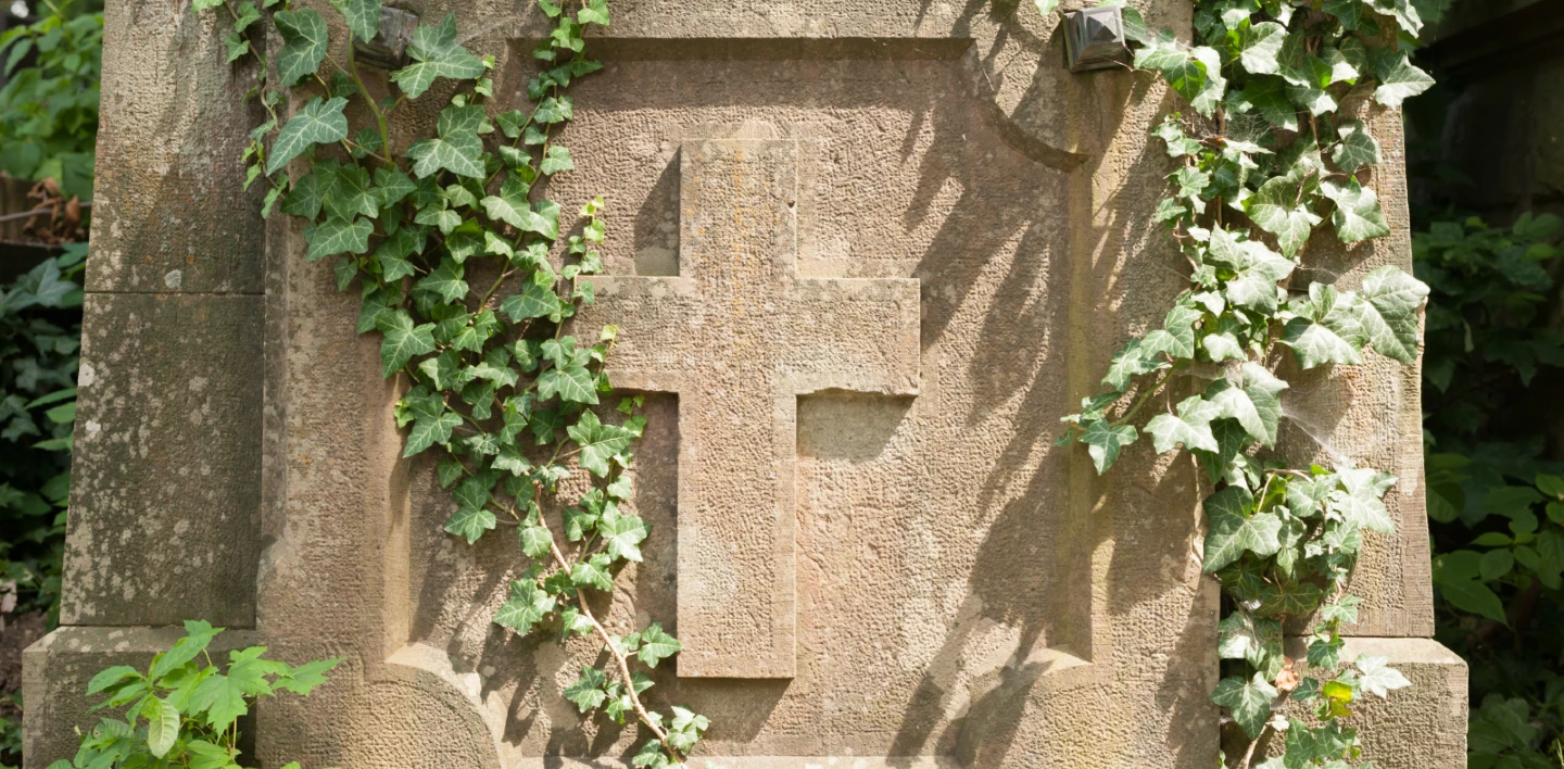 Darwin in Context: Observation, Loss, and the Question of Origin